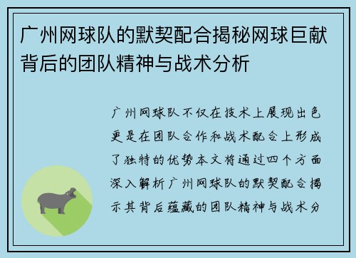 广州网球队的默契配合揭秘网球巨献背后的团队精神与战术分析